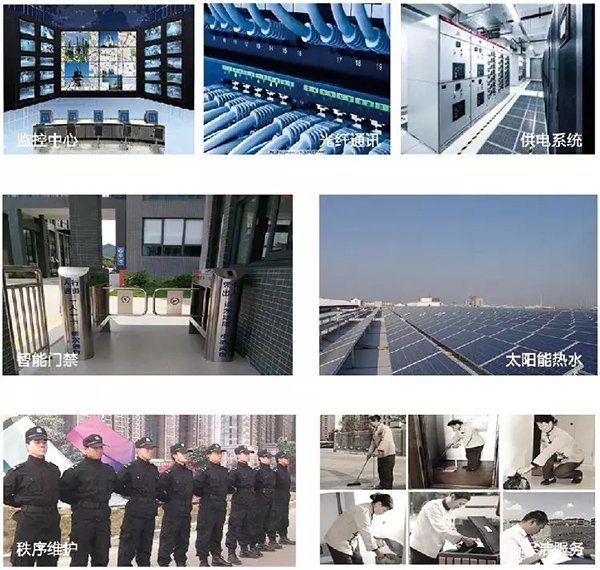 11.webp.jpg 11.webp.jpg